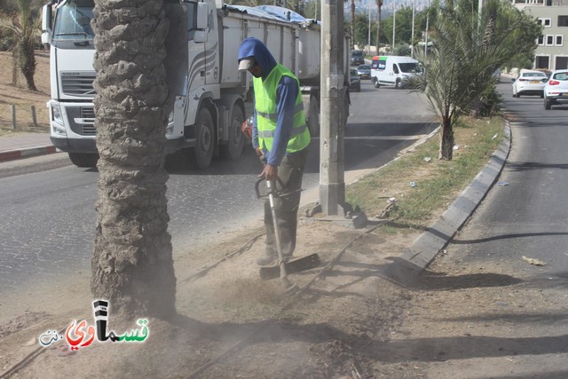 فيديو - كفر قاسم :  بعد النشر في قسماوي نت  البدء بالمراحل الاولى من البستنة والتشجير في جزر مدخل المدينة 